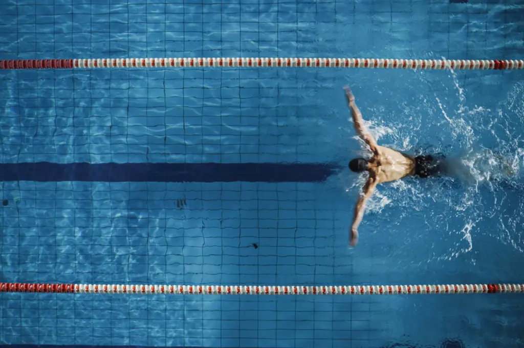 Swimmer doing butterfly stroke in a pool lane.